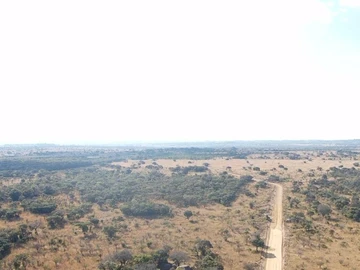 Farm & Agricultural Land